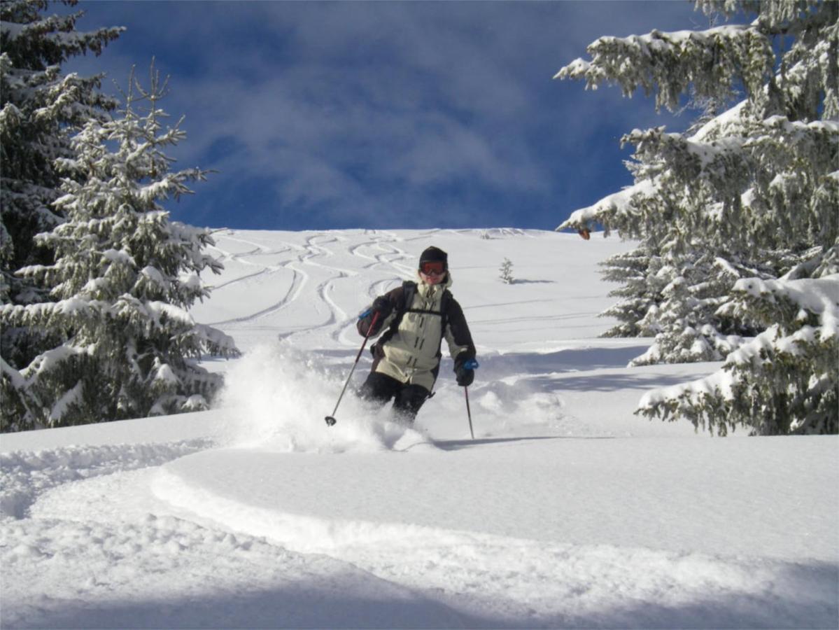 Chalet Aventure B&B Les Gets Exterior foto