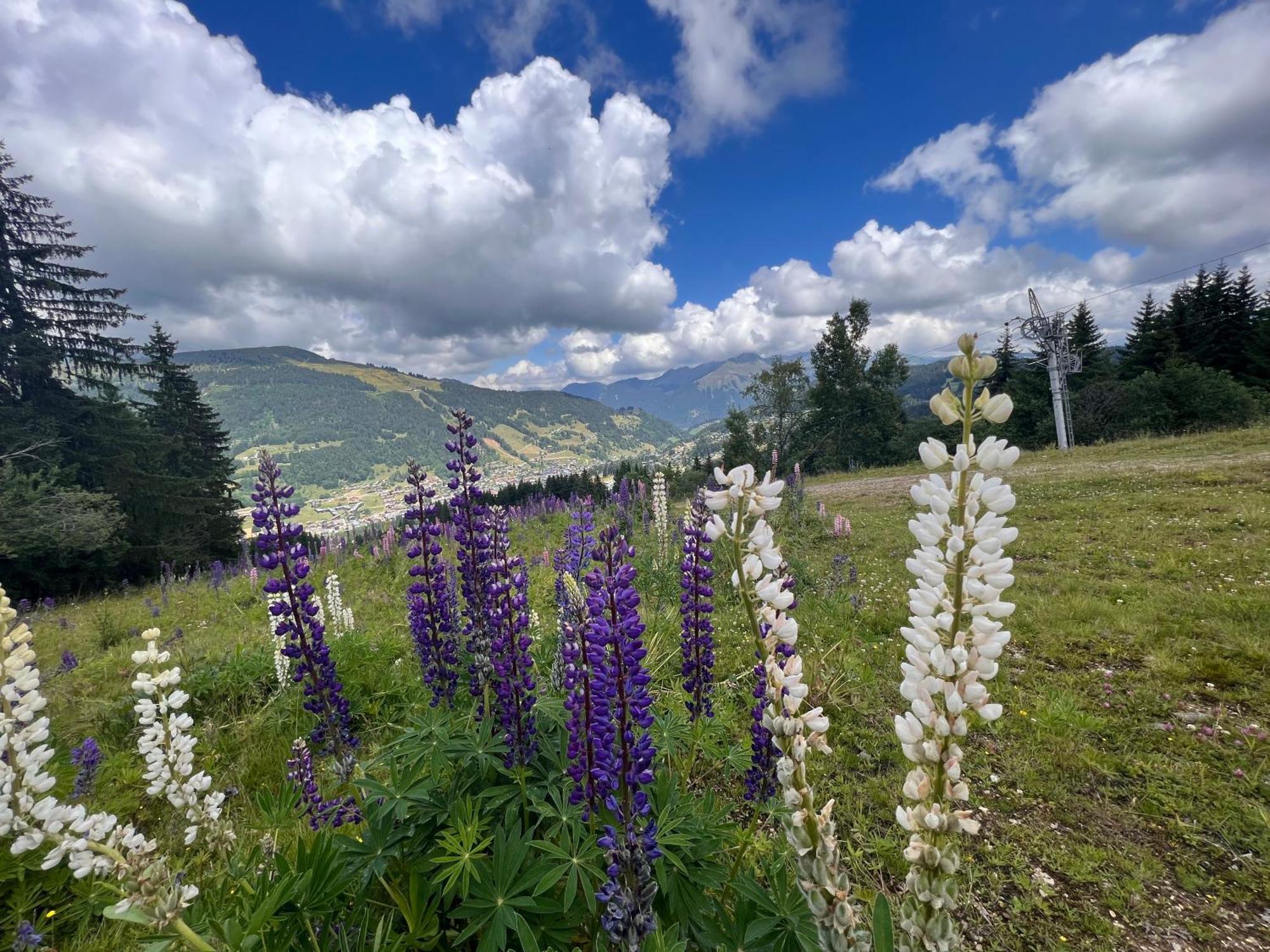 Chalet Aventure B&B Les Gets Exterior foto